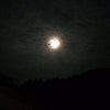 朧げながらも月の夜の画像