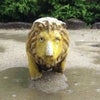 「東山動物園探索」の画像