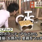 【動画あり】テレビ東京「ニュースアンサー」 殺処分ゼロを目指せ！高まる猫人気　保護猫カフェとは？の記事より