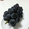 ブドウ美味しい。の画像