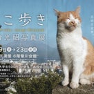 岩合光昭さんの写真展「ねこ歩き」in 岡山を見てきました！の記事より