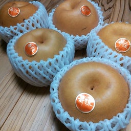 新甘泉　梨1