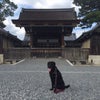 京都御苑をお散歩の画像