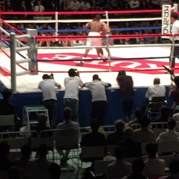画像   日本スーパーフェザー級4位尾川堅一 の記事より 4つ目