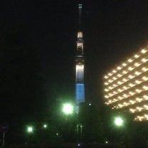 ブログ投稿画像