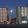 中秋の名月。の画像