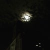 スーパームーン&お月見の画像