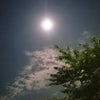 ソンナコンナデ神無月の画像
