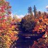 ローレンシャン高原の紅葉の画像