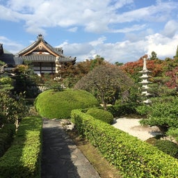 正法寺　洛西４