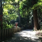 京都と猫好きと暑さと太陽とYouTubeとおにぎりと京都新聞と鞍馬山と大切なメッセージの記事より