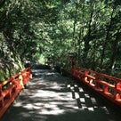 京都と猫好きと暑さと太陽とYouTubeとおにぎりと京都新聞と鞍馬山と大切なメッセージの記事より