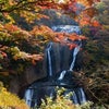 【まだ間に合う紅葉ツアー】袋田の滝・御岳山・大山・西山荘・養老渓谷の画像