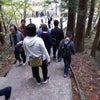 滝と紅葉。の画像