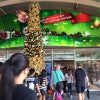 フィリピンは早くもクリスマスシーズンに突入しています(笑)。の画像