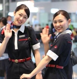 【新品 非売品】JAL 日本航空 スチュワーデススカーフ 紫黒ストライプ