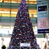 クリスマスツリー@相模大野ステーションスクエア。の画像