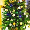 大きなクリスマスツリー♡♡♡♡の画像