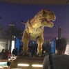 福井県旅行記【その1】〜5歳と3歳の恐竜博物館〜の画像