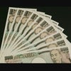 日本政策金融公庫　複数融資の注意点の画像