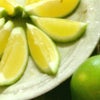 レモン丸かじり…お客様ご感想の画像