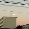 満月をみれた(^-^)の画像