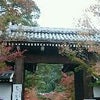 京都の紅葉ですの画像