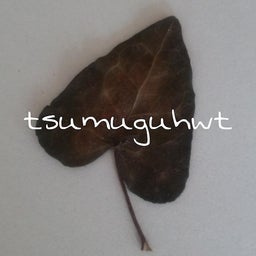 画像 tsumuguhwt改装中 の記事より