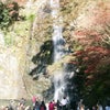 大阪・箕面公園の画像