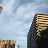 やわらかい空を見上げながら、おはようございますの画像