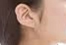 耳・顎