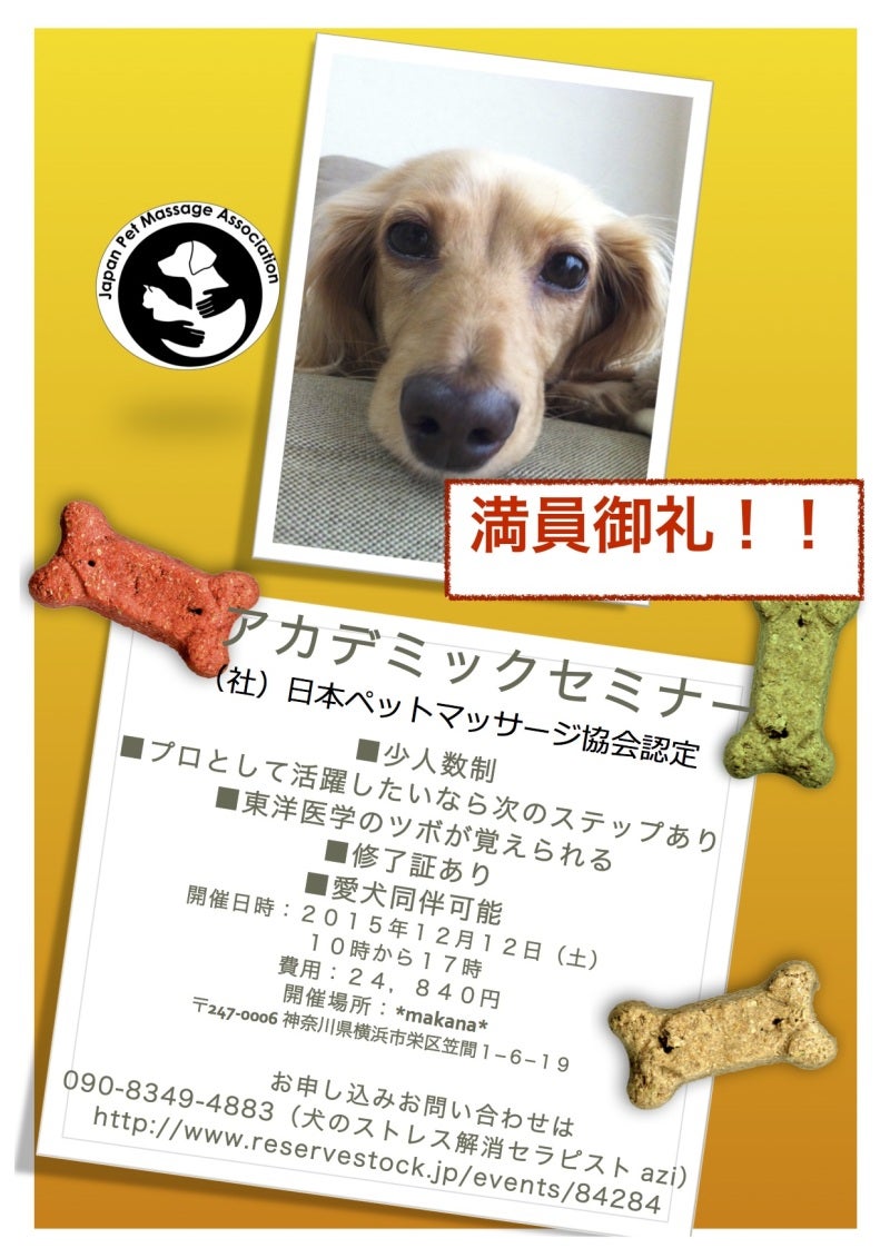 来週はツボセミナーです Aziさんの幸せになる犬マッサージ イヌなで