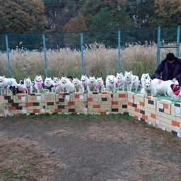 画像 遅くなりました「紅葉見ナイト」 の記事より 4つ目