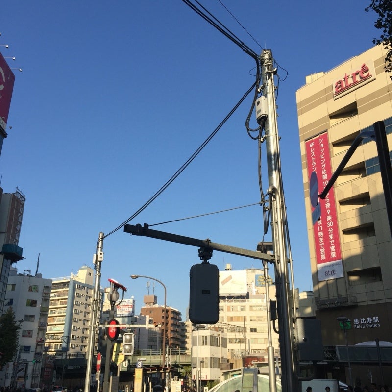 投稿写真