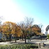 大阪プールの紅葉の画像