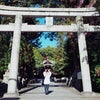 こころピョンピョン岡崎神社の画像