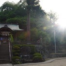 日本初之宮の須賀神社に八雲が立つ～初夏出雲行（26）の記事より