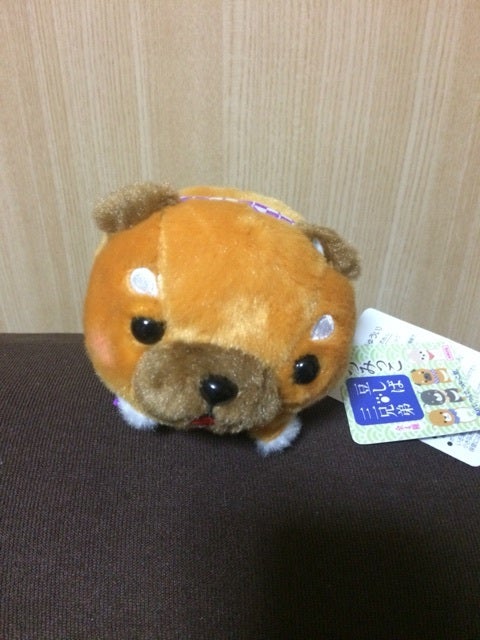 電車の片隅での記事画像
