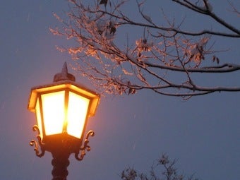冬街灯