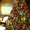 Hawaiiで見た、素敵なクリスマスツリーコレクション♪特別な冬の魅力満載♡の画像