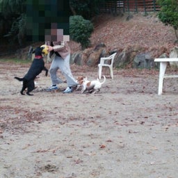 画像 どうしてか  なぁ～ の記事より 4つ目