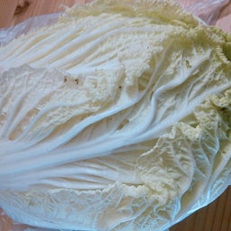 2015年冬野菜６