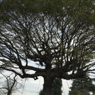 無関心も愛のカタチ？の記事より