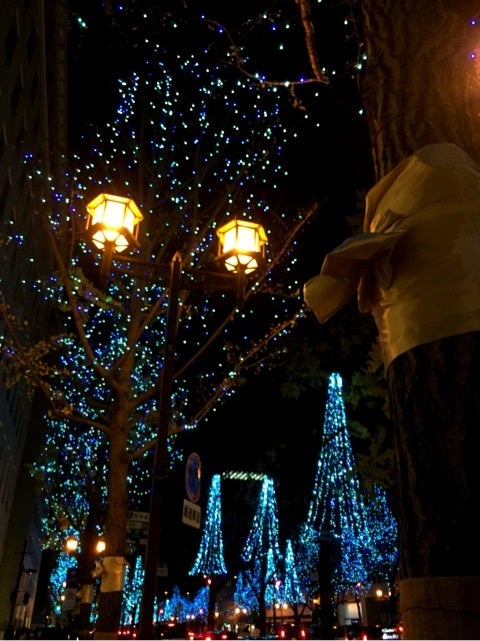 ☆  Merry  Christmas ☆の記事画像