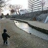 本年も宜しくお願いします。の画像