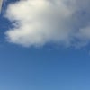 おはようございます☀️の画像