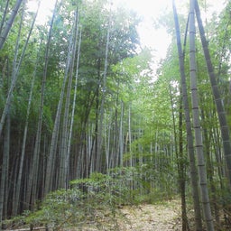画像 天気がよくなったら・・・ の記事より