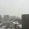 おはようございます！北九州も本格的な雪が降ってきました〜の画像