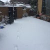 雪〜♫の画像