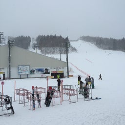 画像 １月の雪の日に の記事より